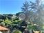 Immagine 11