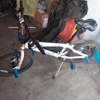 bicicletta BMX