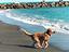 Immagine 5
