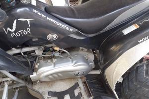 WT Motors Altro modello - 2005