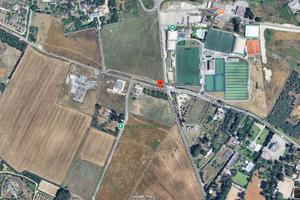 Terreno agricolo in Cavallino