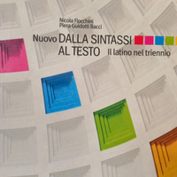 Ripetizioni Latino Greco VIAREGGIO FORTE DEI MARMI