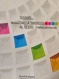 Ripetizioni Latino e Greco Forte dei marmi