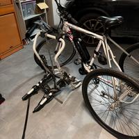 Triciclo elettrificato da passeggio + portabici