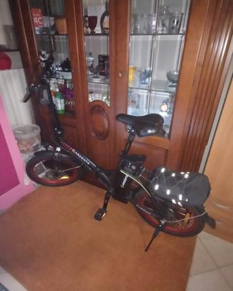 Bici Elettrica Argento Piuma +