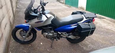 Suzuki xf650 freewind