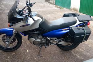 Suzuki xf650 freewind