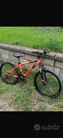 Bici MTB 24 taglia S