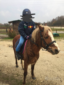 Pony adatto ai bambini