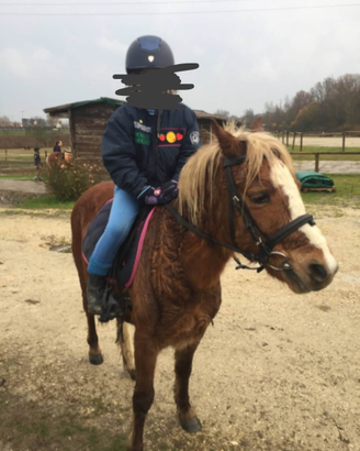 Pony adatto ai bambini