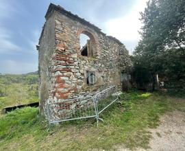 RUSTICO A PIEVE A NIEVOLE