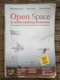 Libro di grammatica Inglese