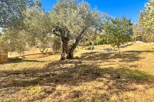 Terreno edificabile Trudda rif 6/25