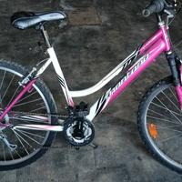 Mountain bike donna