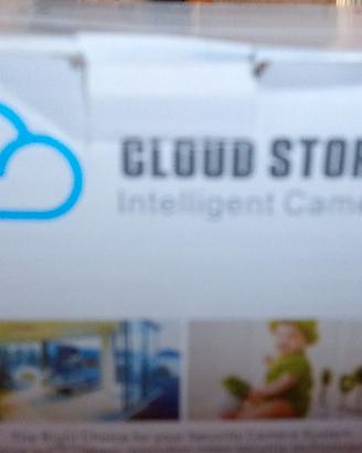 TELECAMERA INTELLIGENTE CLOUD STORAGE NUOVA 