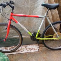 Bici acciaio 18marce taglia m Mountain bike