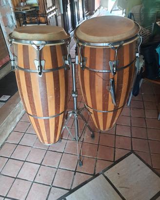 congas 