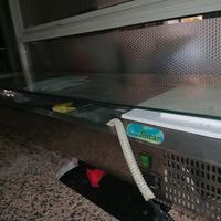 vetrina refrigerata per ingredienti 