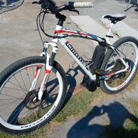 bici elettrica