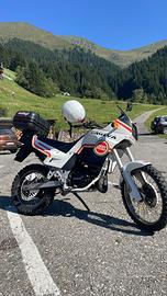 Tamanaco lucky explorer