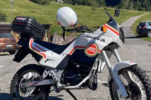 Tamanaco lucky explorer