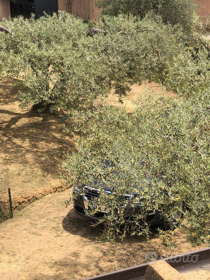 Casa – Caltagirone, Catania - Vista 2