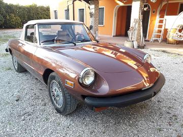 alfa Romeo spider duetto cc2000 modello america  a