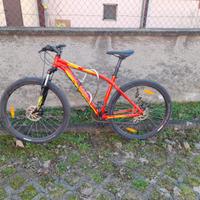 bicicletta Specialized 