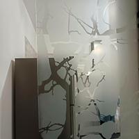 Porta scorrevole in vetro satinato decorato – mode