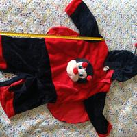 vestito carnevale coccinella 