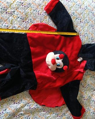 vestito carnevale coccinella 