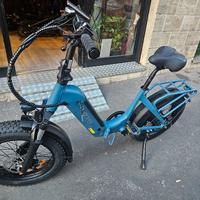 Bicicletta elettrica Fatbike DYU FF500 20” – 750W
