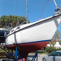 Alpa dodi 6.70 Barca a vela