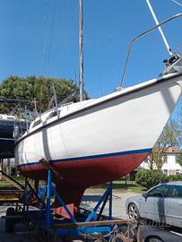 Alpa dodi 6.70 Barca a vela