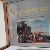 Dischi in vinile raccolta napoli