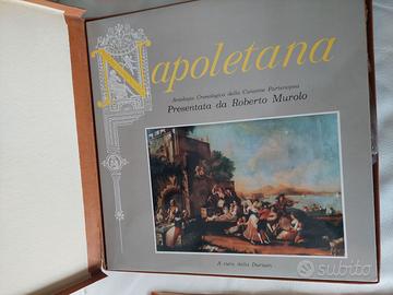 Dischi in vinile raccolta napoli