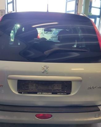 Portellone nudo PEUGEOT 206 del 2004