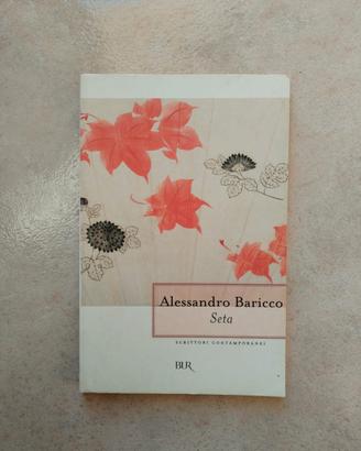 Seta di Alessandro Baricco 