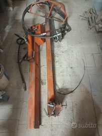 Caricaballe Ercolino