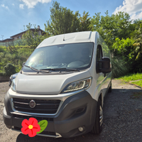 Furgone frigorifero ducato