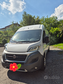 Furgone frigorifero ducato