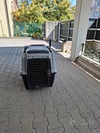 Trasportino Skudo IATA