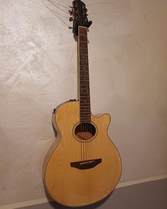 chitarra acustica amplificabile