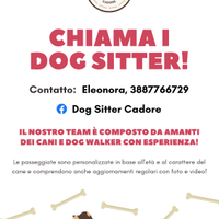 Dog Sitter