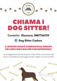 Dog Sitter
