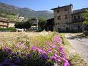 rustico-a-chatillon