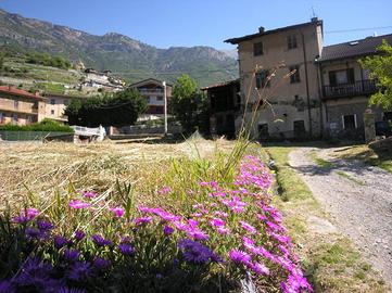 RUSTICO A CHÂTILLON