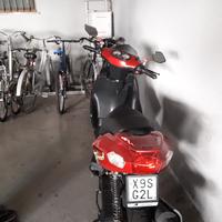 Peda Motor PE50QT-C - 2015