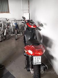 Motorino PE50QT-C - 2015