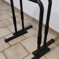 Panca Romana + Parallele per Dips